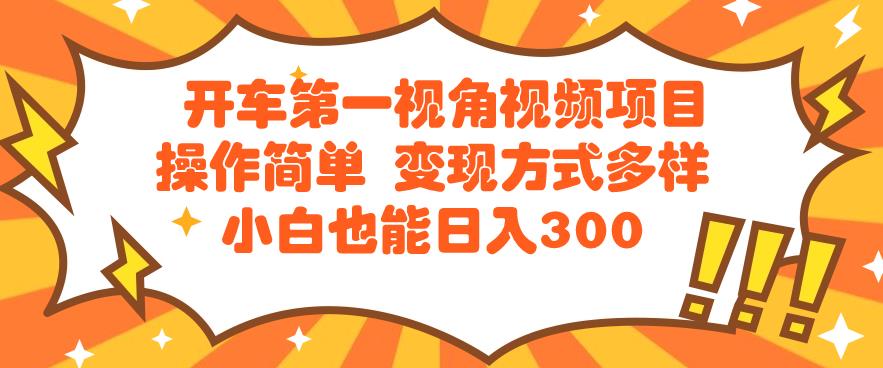 开车第一视角短视频新项目使用方便变现模式多种多样小白都能日入300-蓝悦项目网