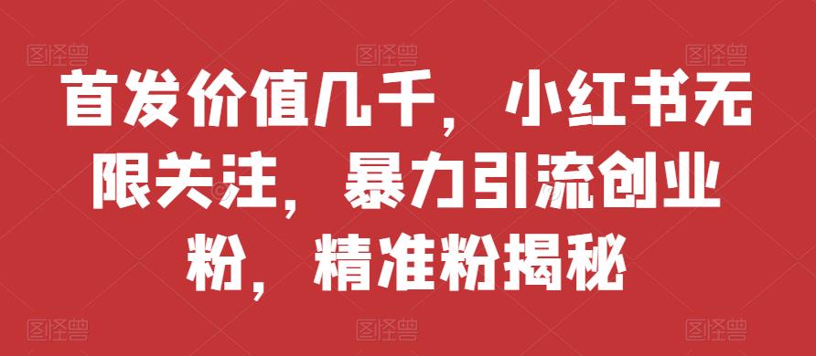 先发使用价值好几千，小红书的无尽关心，暴力行为引流方法自主创业粉，精准粉揭密-蓝悦项目网