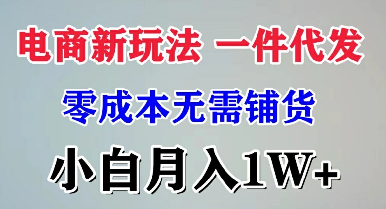 电子商务新模式 一件代发,零成本不用进货，新手月入1W-蓝悦项目网