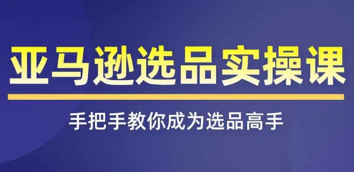 亚马逊选品实操课程，快速上手亚马逊选品技巧，遮盖亚马逊选品全部方式-蓝悦项目网