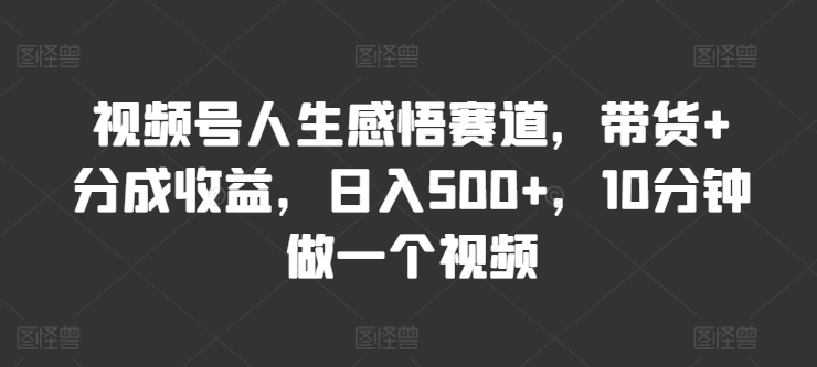 微信视频号人生的感悟跑道，卖货 分为盈利，日入500 ，10多分钟做一个视频-蓝悦项目网