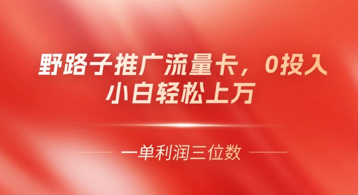 歪门邪道营销推广上网卡，一单利润几百，0资金投入，新手轻轻松松过万-蓝悦项目网