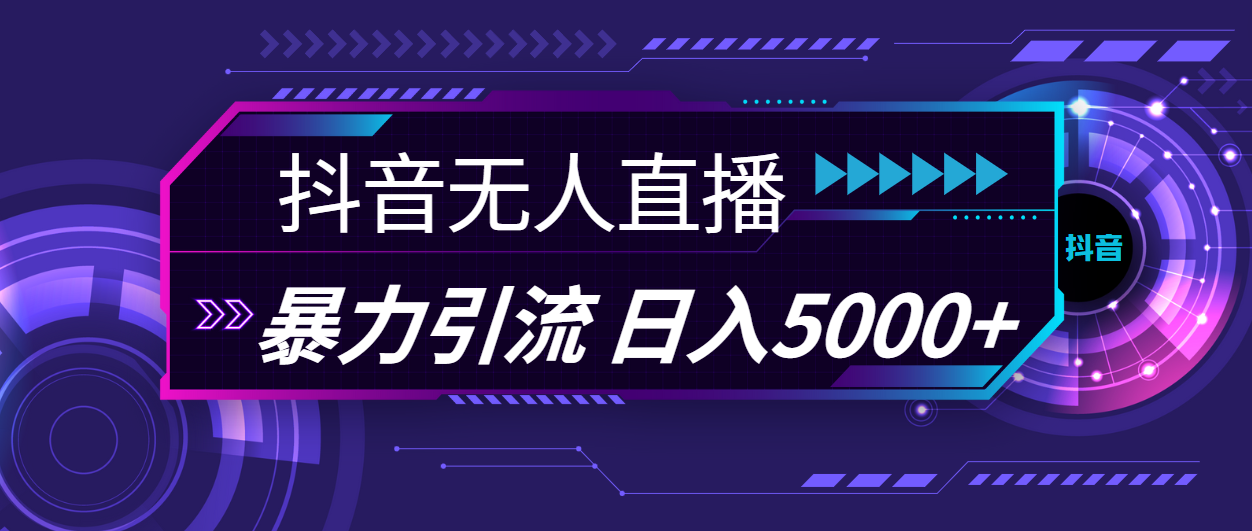 （11709期）抖音无人在线，爆利引流方法，日入5000-蓝悦项目网