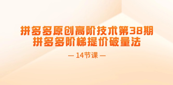 （11704期）拼多多平台原创设计高级技术性第38期，拼多多平台台阶涨价破量法（14堂课）-蓝悦项目网