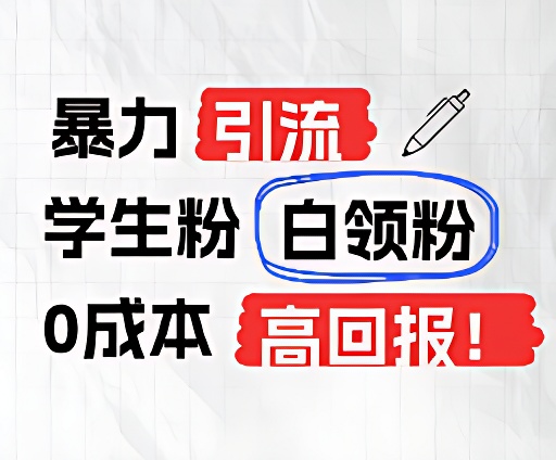 暴力行为引流方法学生们粉上班族粉，完爆过去废弃物游戏玩法，0成本费，高收益-蓝悦项目网