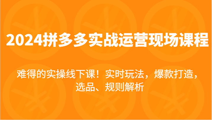 2024拼多多平台实战演练经营当场课，即时游戏玩法，爆款打造，选款、标准分析，不可多得的实际操作面授课！-蓝悦项目网