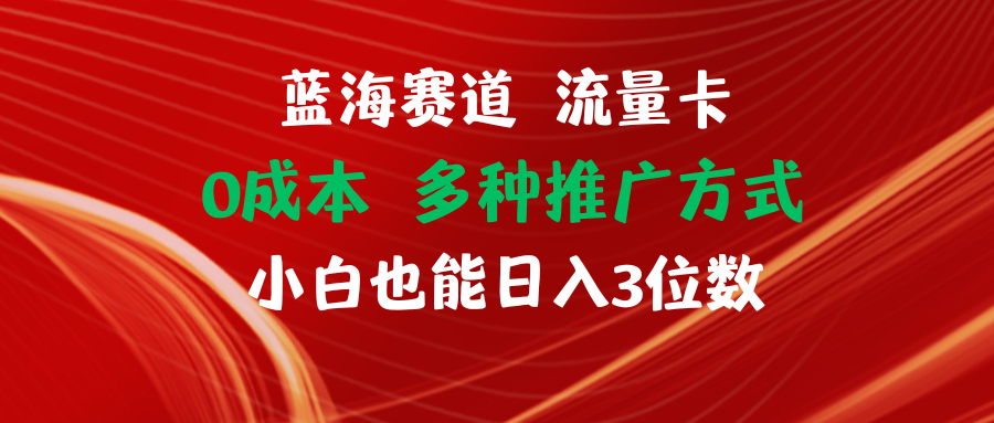 （11768期）瀚海跑道 上网卡 0成本费 新手也可以日入三位数-蓝悦项目网