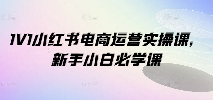 1V1小红书的电商运营实操课，新手入门必会课-蓝悦项目网