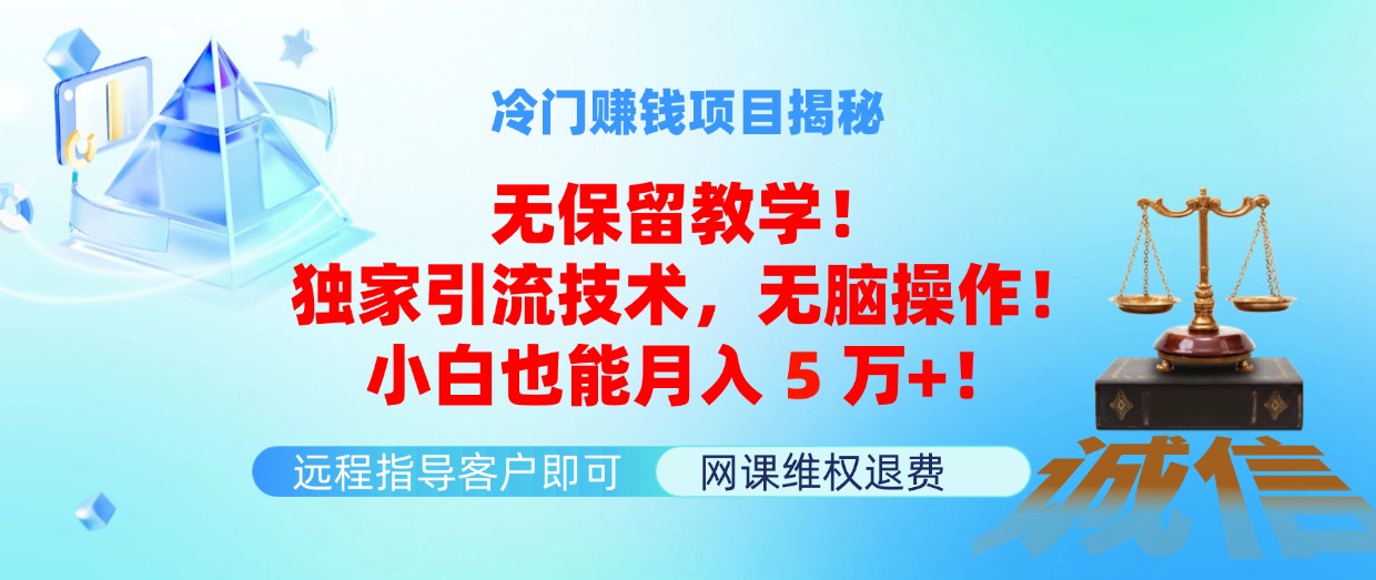 （11864期）冷门赚钱项目无保留教学！独家引流技术，无脑操作！小白也能月入5万+！-蓝悦项目网