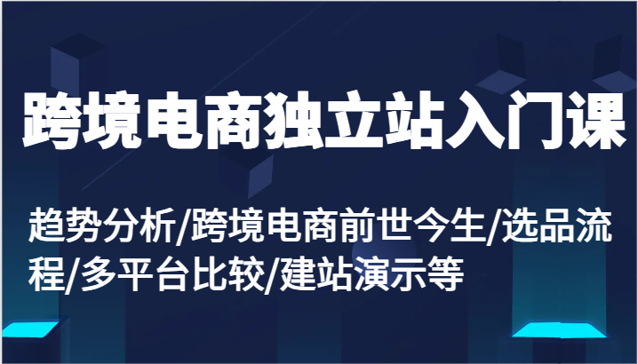 跨境电商电商独立站新手入门课：变化趋势/跨境电子商务来世今生/选款步骤/全平台较为/建网站演试等-蓝悦项目网