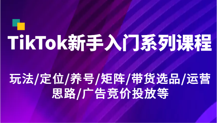 TikTok新手入门系列课程，玩法/定位/养号/矩阵/带货选品/运营思路/广告竞价投放等-蓝悦项目网