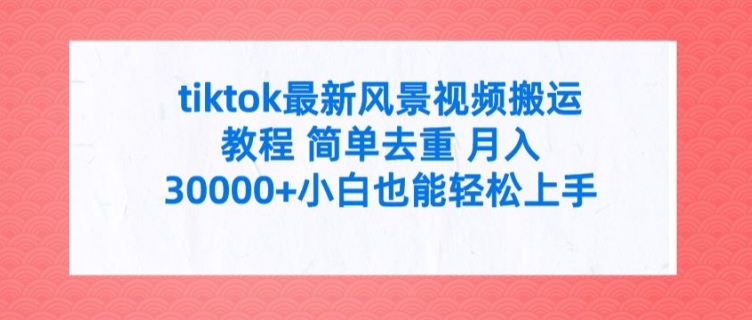 tiktok全新景色视频搬运实例教程 简易去重复 月入3W 新手也可以快速上手【揭密】-蓝悦项目网