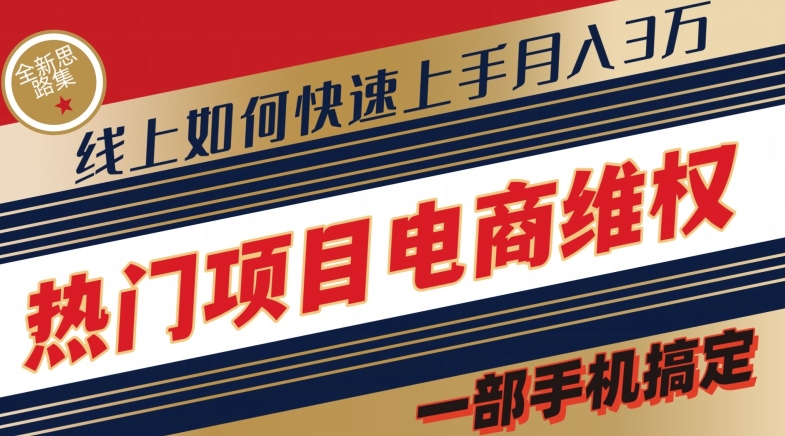 热门产品电子商务法律维权全新升级构思集，一部手机解决【仅揭密】-蓝悦项目网