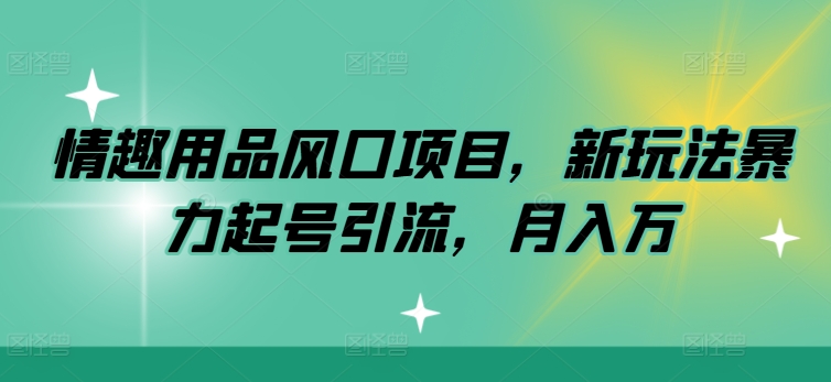 情趣用具蓝海项目，新模式暴力行为养号引流方法，月入万-蓝悦项目网