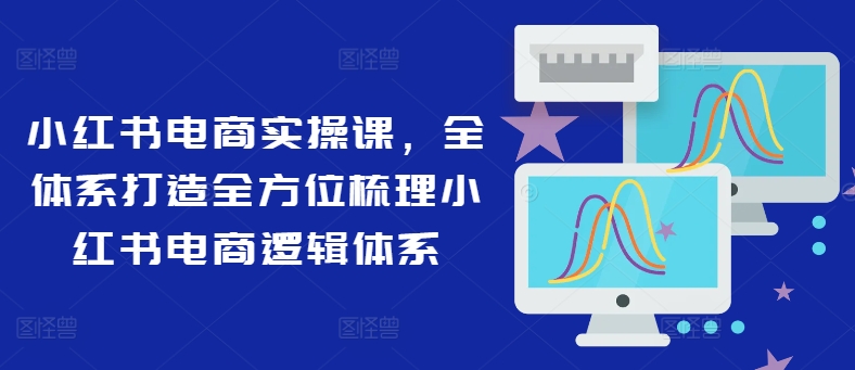 小红书电商实操课，全管理体系打造出多方位整理小红书电商逻辑框架-蓝悦项目网