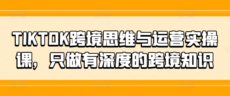 TIKTOK跨境电商逻辑思维和运营实操课，就做有内涵的跨境电商专业知识-蓝悦项目网