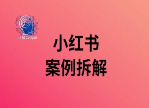 小红书的实例拆卸，深度解析小红书的40万粉-蓝悦项目网