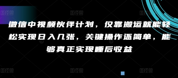 手机微信中视频伙伴方案，只靠运送就能轻轻松松完成日入多张，重要实际操作还简单，可以更好的完成睡后盈利-蓝悦项目网