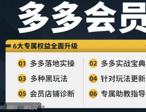 拼多多会员，拼多多平台实战演练秘笈 实战演练落地式实际操作，从初学者到高级具体内容全覆盖-蓝悦项目网