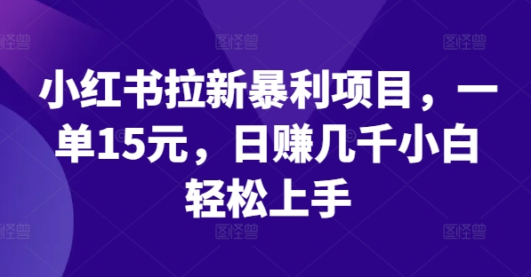 小红书的引流赚钱项目，一单15元，日赚好几千新手快速上手【揭密】-蓝悦项目网