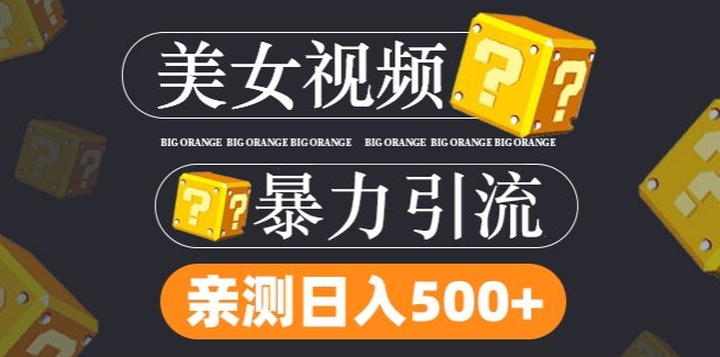 搬运tk美女视频全网分发，日引s粉300+，轻松变现，不限流量不封号【揭秘】-蓝悦项目网