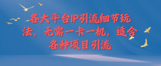 各个平台IP引流方法小细节游戏玩法，不用一卡一机，适用于各种新项目引流方法-蓝悦项目网