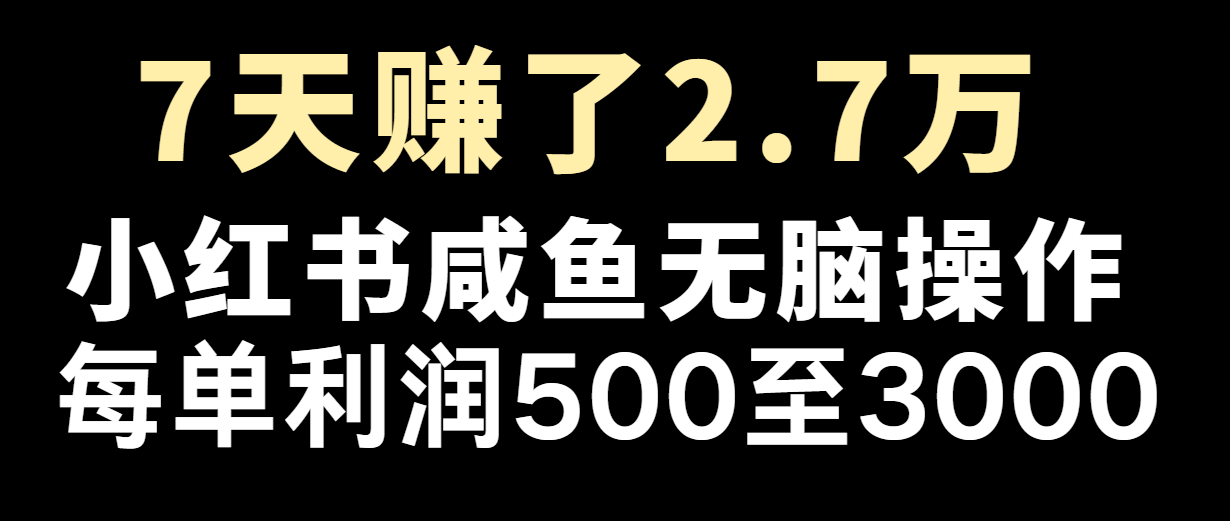 七天挣了2.7万！每单利润至少500 ，轻轻松松月入5万 新手有手就行-蓝悦项目网