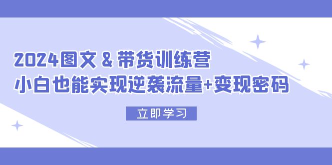 （12137期）2024 图文+带货训练营，小白也能实现逆袭流量+变现密码-蓝悦项目网