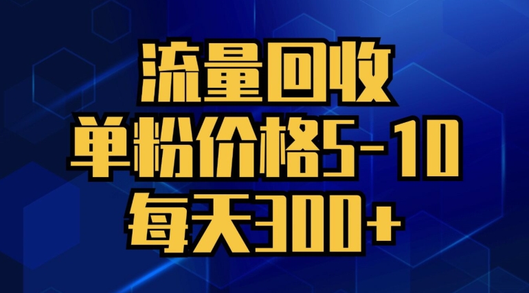 总流量回收利用，单粉价钱5-10，每日300 ，轻轻松松月入五位数-蓝悦项目网