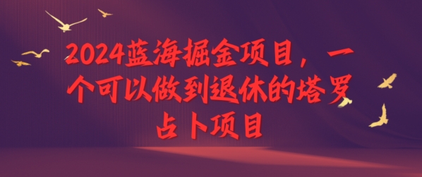 2024瀚海掘金队新项目，一个能做到退休塔罗牌占卜新项目-蓝悦项目网