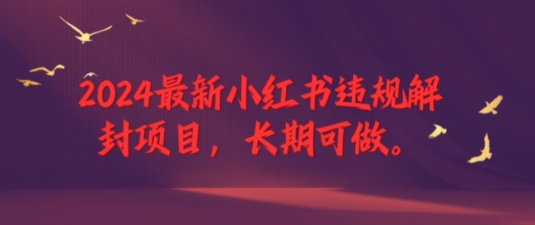 2024全新小红书违规解除限制新项目，长期性能做，一个能做到退休新项目【揭密】-蓝悦项目网