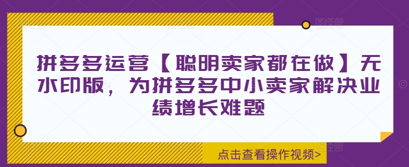 拼多多运营【聪慧商家也在做】无水印图片版，为拼多多平台中小商家处理业绩提升难点-蓝悦项目网