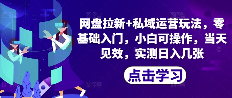 百度云盘引流 私域流量运营游戏玩法，零基础入门，小白可实际操作，当日奏效-蓝悦项目网