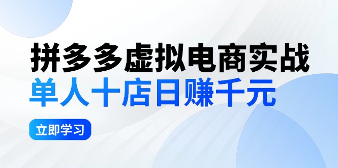 （12326期）拼夕夕虚拟电商实战：单人10店日赚千元，深耕老项目，稳定盈利不求风口-蓝悦项目网