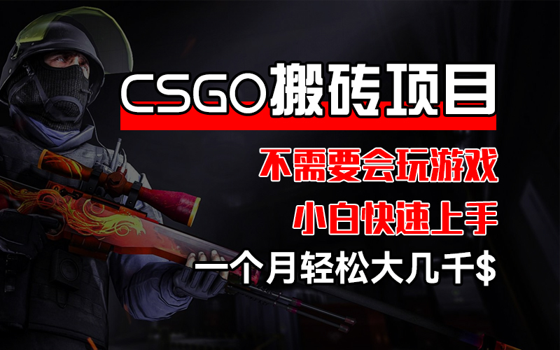 （12332期）CSGO 装备搬砖项目，操作简单，不需要会玩游戏，小白也能快速上手，一…-蓝悦项目网