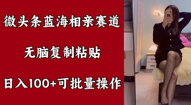 头条瀚海相亲约会跑道，没脑子拷贝，日入100 ，可批量处理-蓝悦项目网