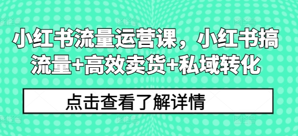 小红书流量运营课，小红书搞流量+高效卖货+私域转化-蓝悦项目网