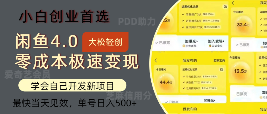 （12434期）闲鱼0成本极速变现项目，多种变现方式 单号日入500+最新玩法-蓝悦项目网