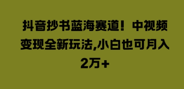 抖音抄书蓝海赛道，中视频变现全新玩法，小白也可月入2W+-蓝悦项目网