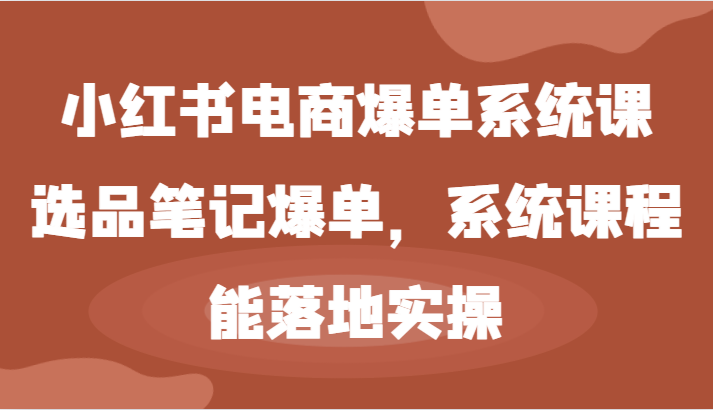 小红书电商爆单系统课-选品笔记爆单，系统课程，能落地实操-蓝悦项目网