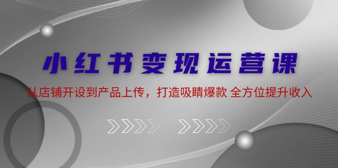 （12520期）小红书变现运营课：从店铺开设到产品上传，打造吸睛爆款 全方位提升收入-蓝悦项目网