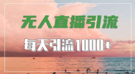 抖音快手视频号全平台通用，无人直播引流法，超暴力引流1000+高质量精准创业粉【揭秘】-蓝悦项目网