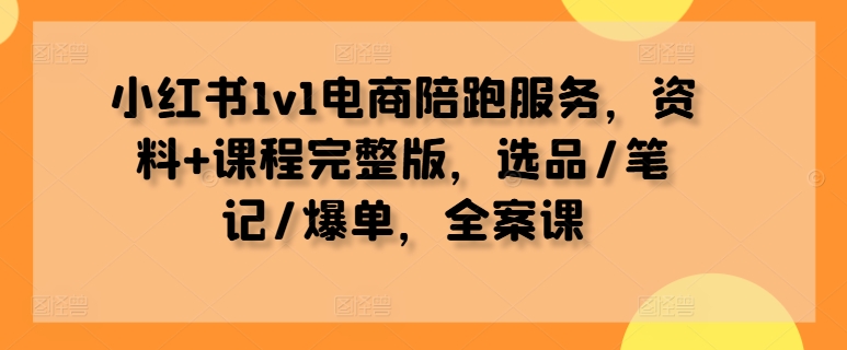 小红书1v1电商陪跑服务，资料+课程完整版，选品/笔记/爆单，全案课-蓝悦项目网