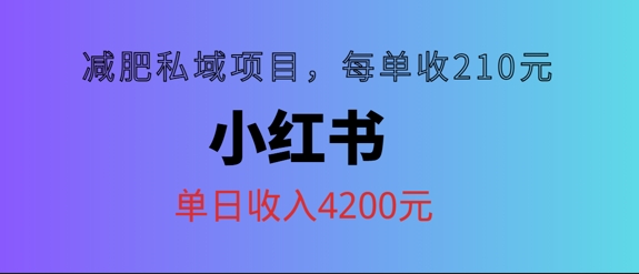 小红书减肥私域项目，每单210元，单日可卖出15单，利润3150-蓝悦项目网