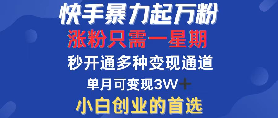 （12651期）快手暴力起万粉，涨粉只需一星期，多种变现模式，直接秒开万合，小白创…-蓝悦项目网