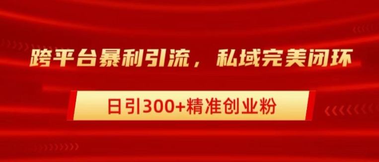 跨平台暴力引流，私域完美闭环，日引100+精准创业粉-蓝悦项目网