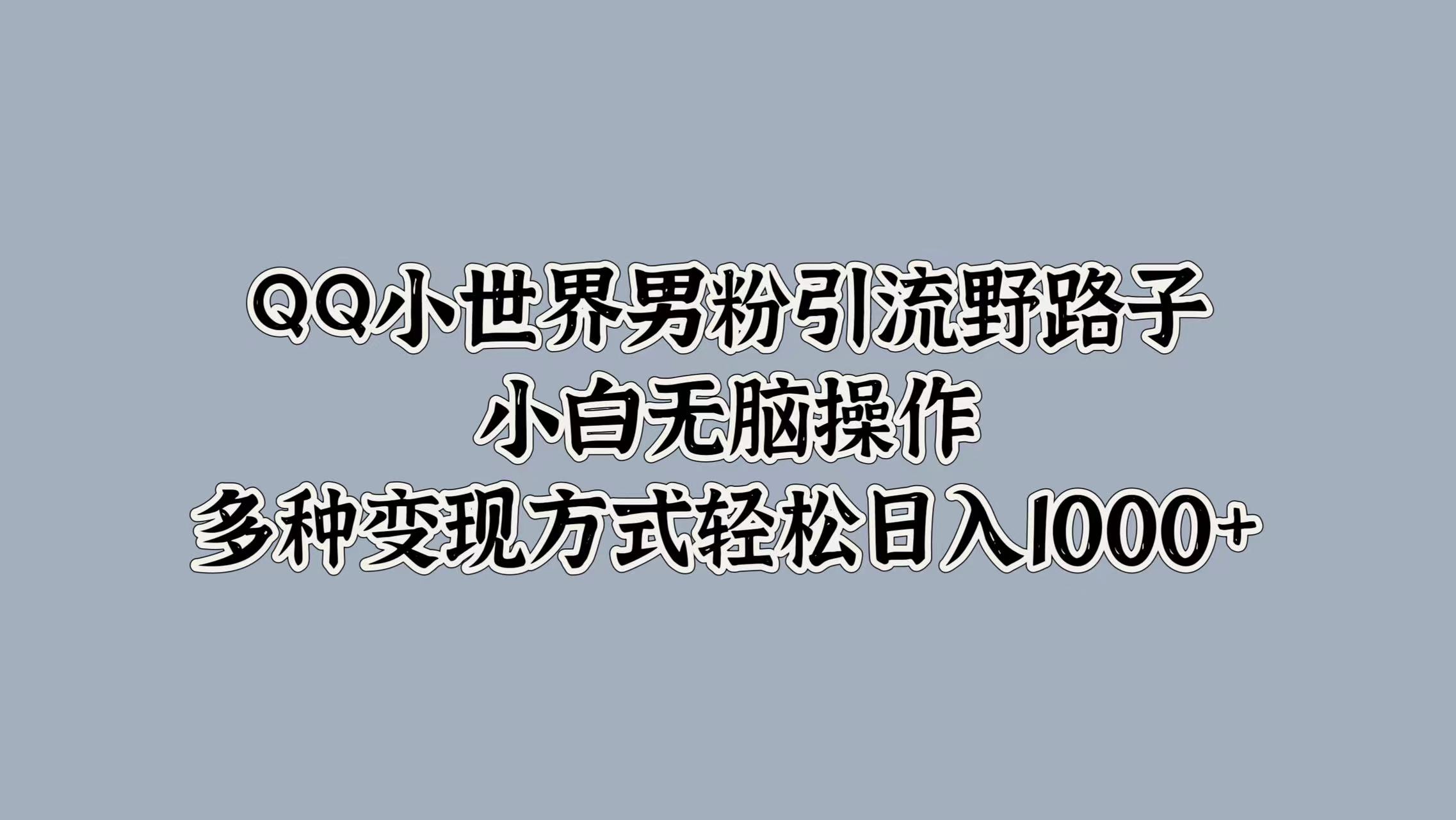 QQ小世界男粉引流野路子，小白无脑操作，多种变现方式-蓝悦项目网