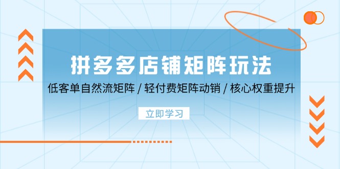 拼多多店铺矩阵玩法：低客单自然流矩阵 / 轻付费矩阵 动销 / 核心权重提升-蓝悦项目网