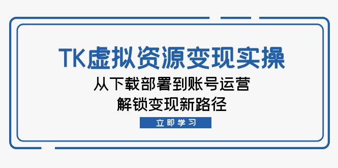 （12770期）TK虚拟资料变现实操：从下载部署到账号运营，解锁变现新路径-蓝悦项目网