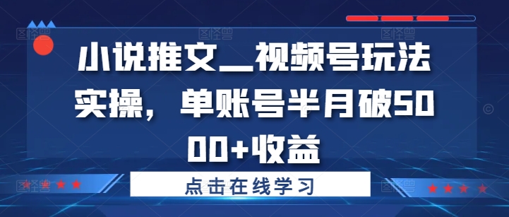 小说推文—视频号玩法实操，单账号半月破5000+收益-蓝悦项目网